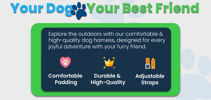 your dog your best friend comfortable padding high quality adjustable straps